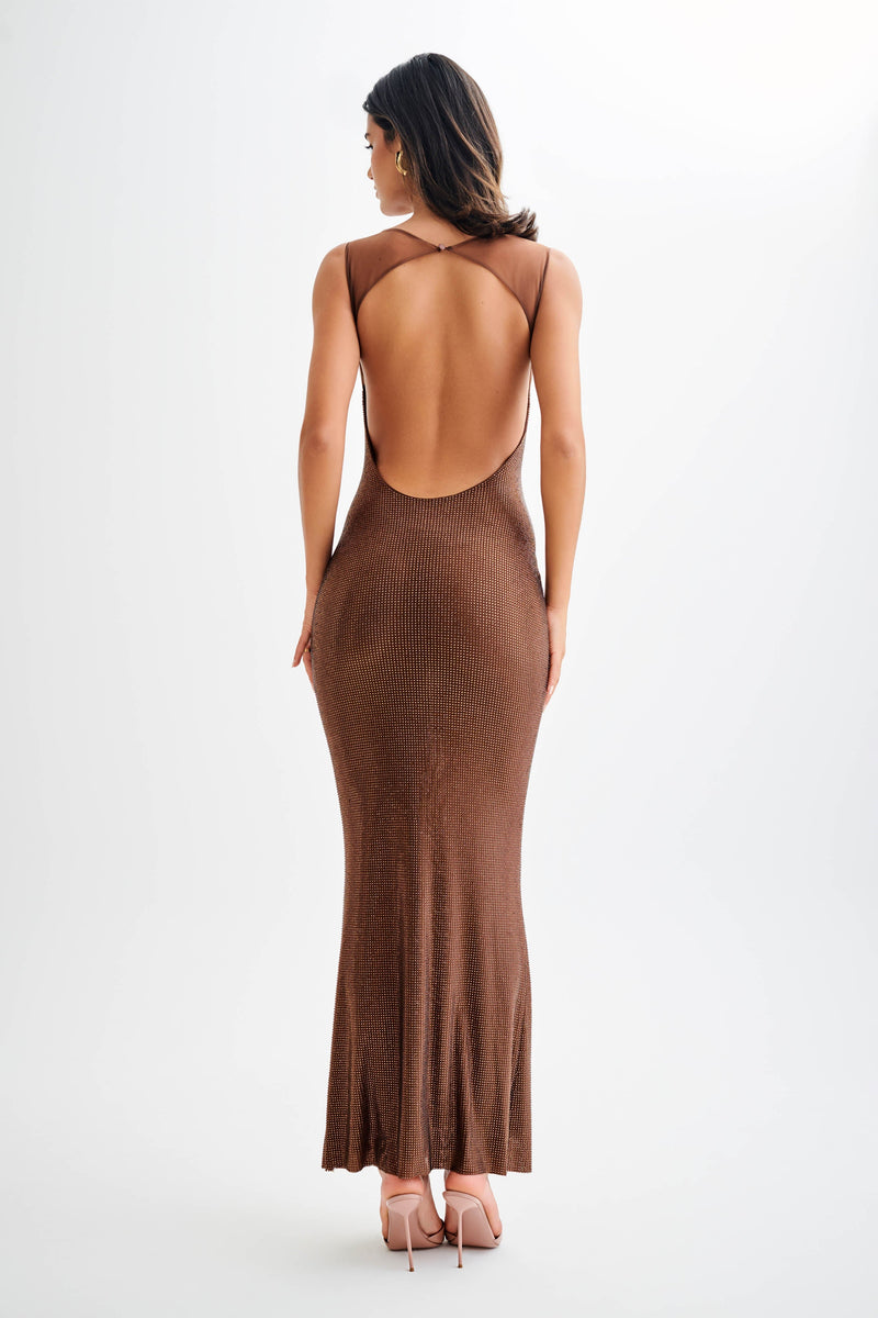 Jasmyn - Hot Mesh Maxi Dress