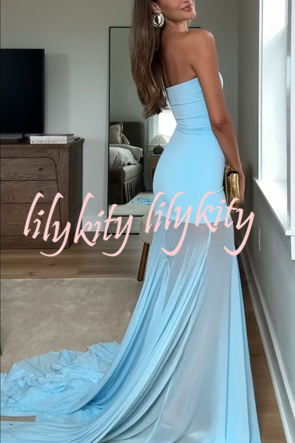 Saphina - Sheer Mesh Maxi Dress