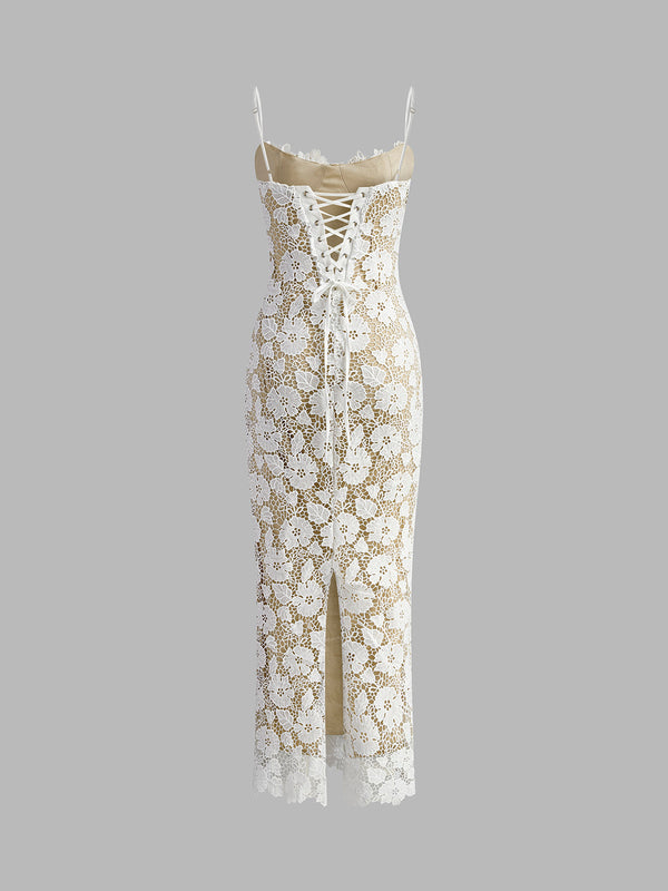 Sophia - Semi-Sheer Lace Dress