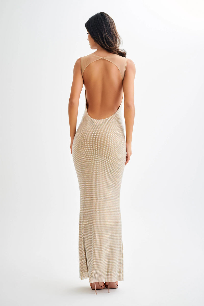 Jasmyn - Hot Mesh Maxi Dress
